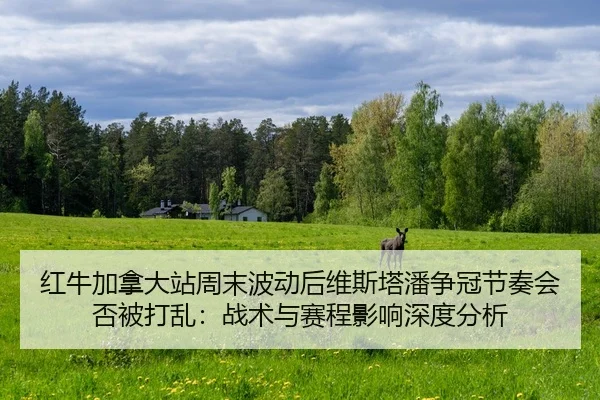 红牛加拿大站周末波动后维斯塔潘争冠节奏会否被打乱：战术与赛程影响深度分析